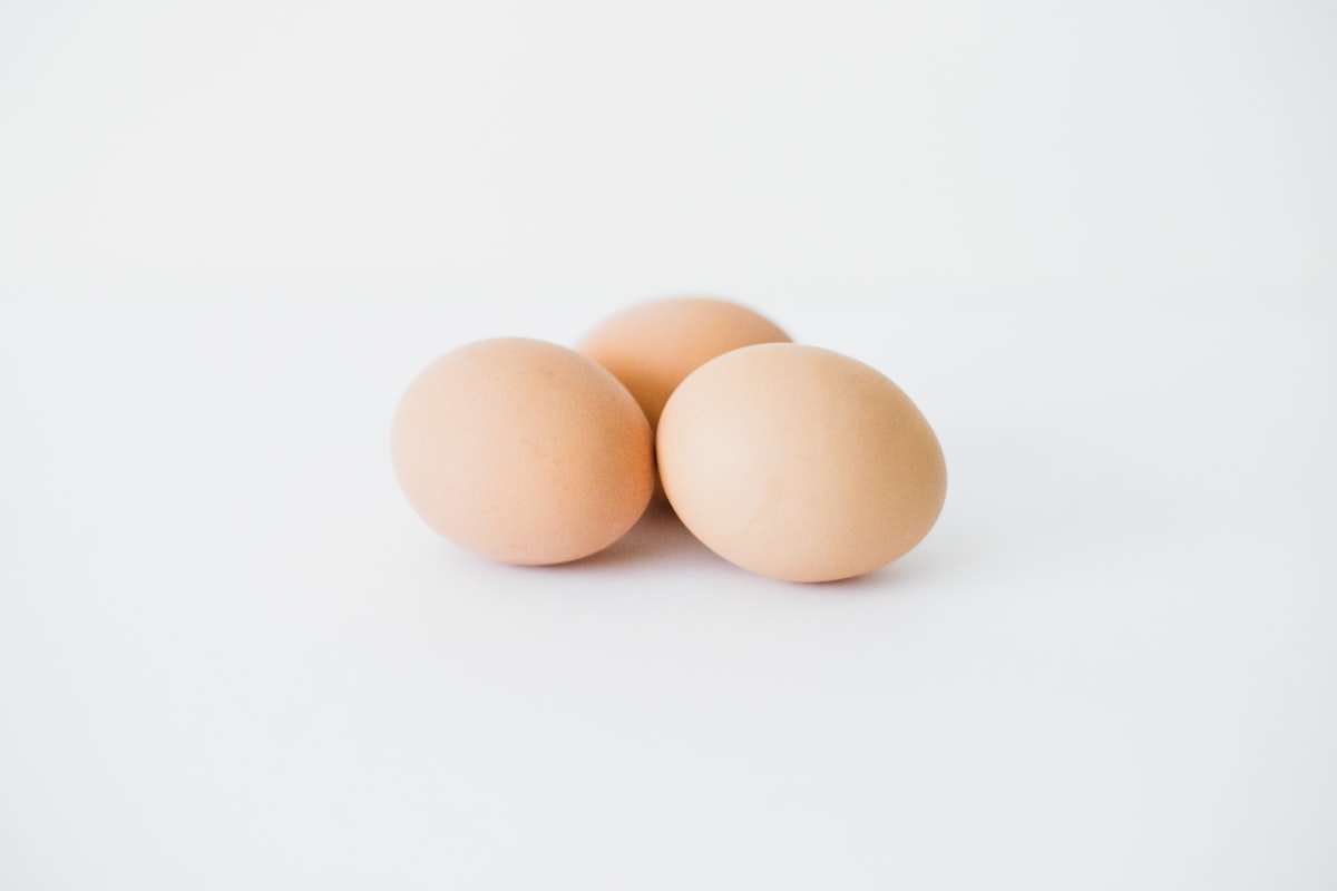 Telur sumber protein lengkap