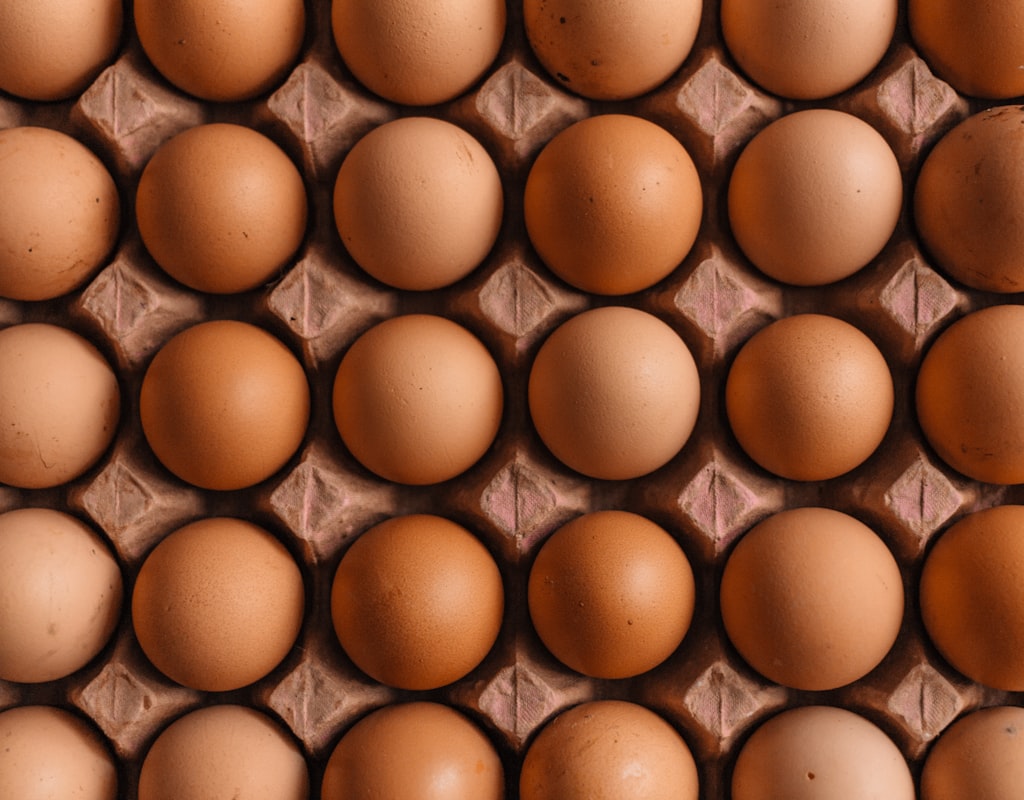 Strategi Program Nutrisi Protein untuk Pembangunan Otot